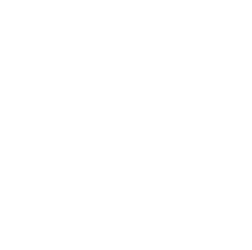 Social Diário